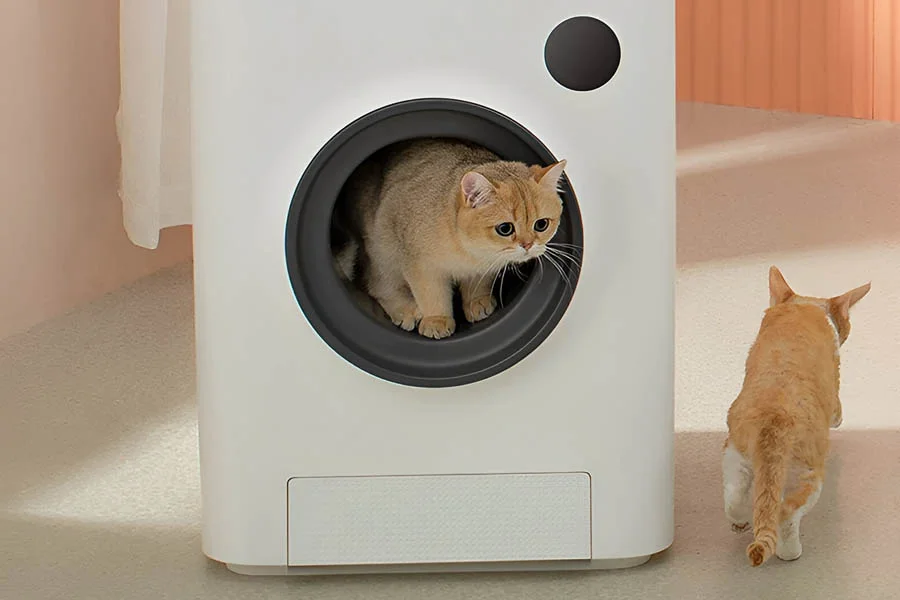 auto clean kitty litter box