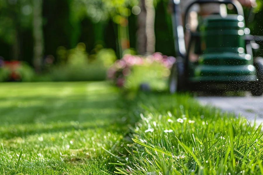 cordless electric lawnmower