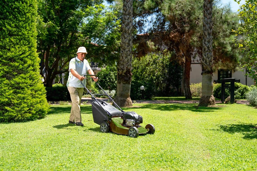 self powered lawn mowers