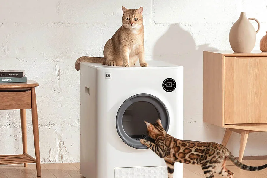 Litter Box for 2 Cats: